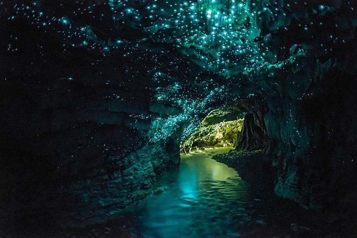  The Waitomo Glowworm caves give the impression of a majestic starry night. Photo by Tim Spaulding, flickr