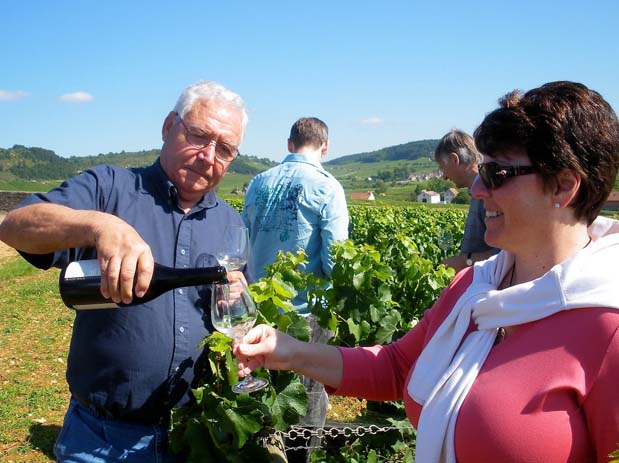 Burgundy wine tours. Photo by passepartout-homes.com