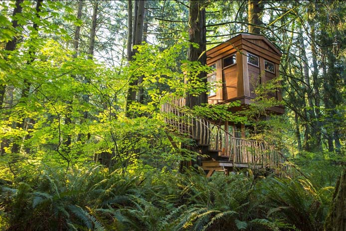 A cabin nestled amongst the Seattle Forest. Photo by Crowley Photography.