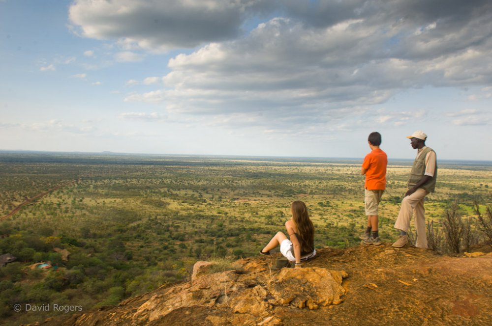 Meru National Park, Kenya. Photo by davidrogers, flickr.