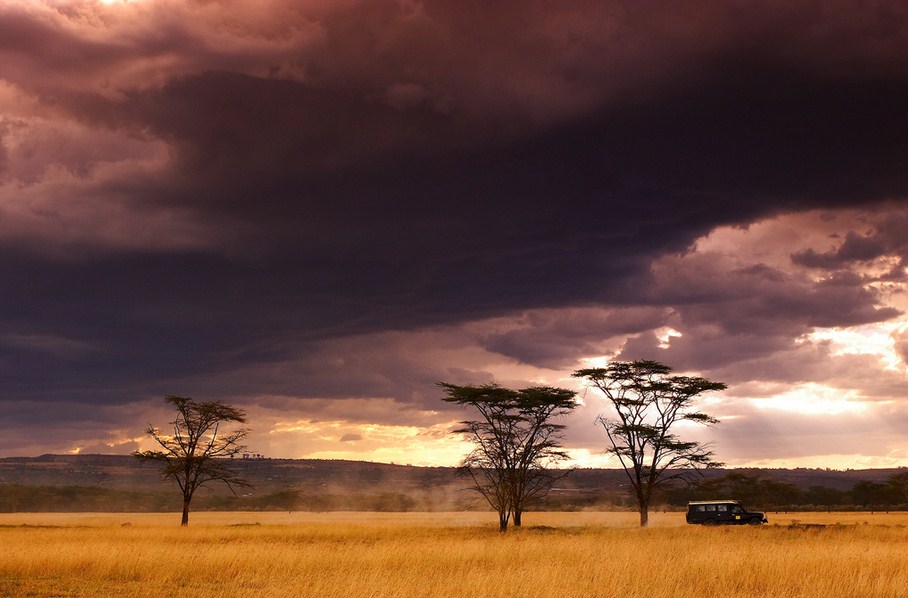 The great escape at Lake Nakuru National Park. Photo by Hamad Darwish