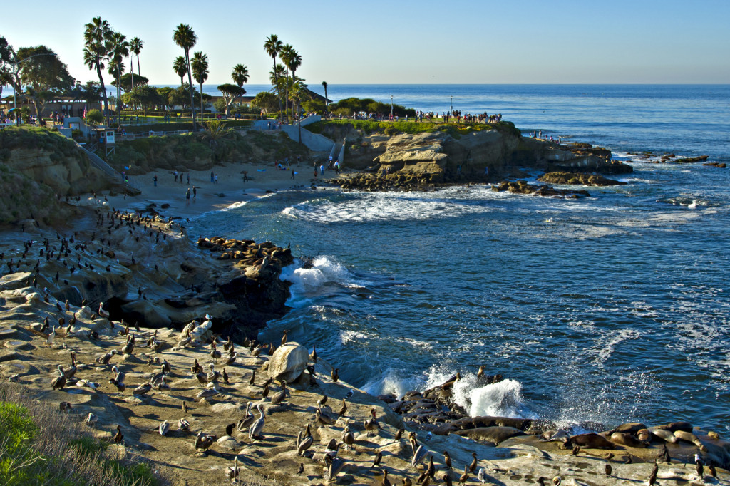 La Jolla Cove, San Diego. Photo by wikimedia.org