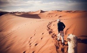 A guide leads a camel through Erg Chebbi nearby Merzoug. Photo by Chris Ford, Flickr