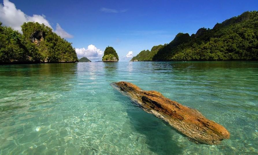 Clear water and paradise in Raja Ampat Islands. Photo by Regy Kurniawan
