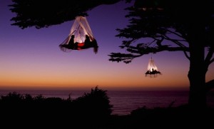 Tree camping is such a great way to see the most magnificent views