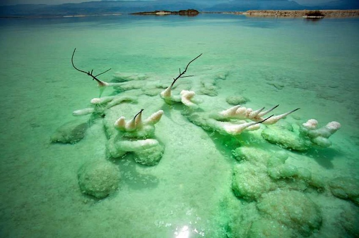 Salt crystals form on anything within the waters of the Dead Sea. Photo by mapisrael.info