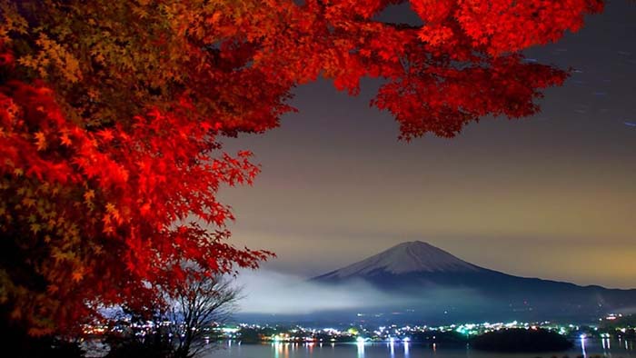 Japan is known for its gorgeous seasonal displays. Image via Love These Pics