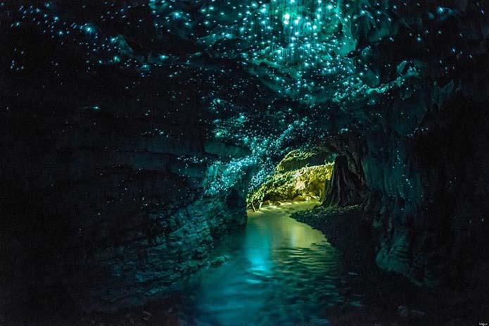 The Glowworn Grotto is an incredible place. Image via Distractify.