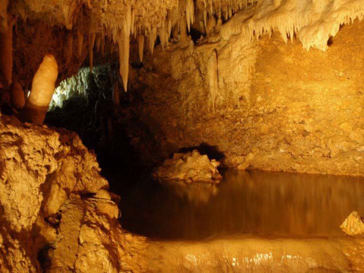 Harrisons Cave is home to incredible stalagmites and crystallised limestone caverns. Photo by topDreamer