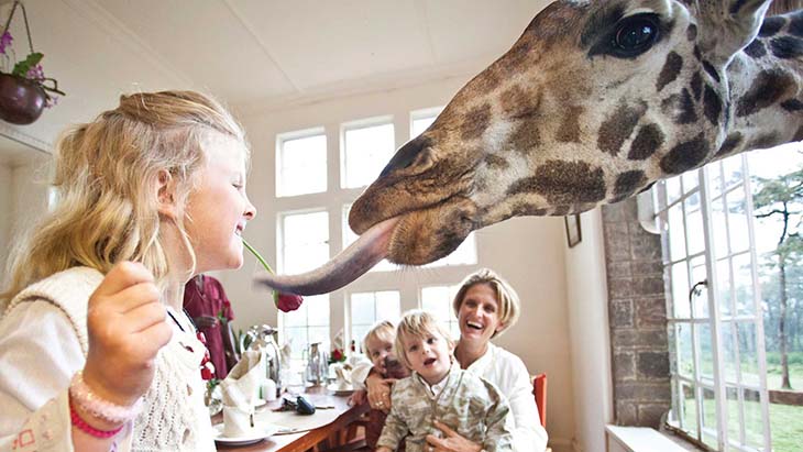 Indulge in giraffe affection at Giraffe Manor. Photo by thesafaricollection.com