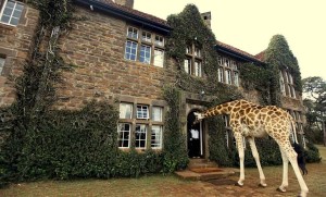 Giraffe Manor, Nairobi, Africa. Photo by koolrooms.com