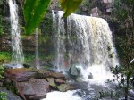 Jungle Jams in Bokor National Park